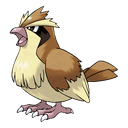 pidgey
