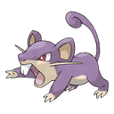 rattata