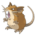 raticate
