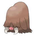 piloswine
