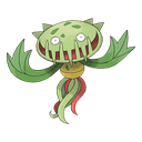 carnivine