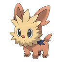 lillipup