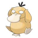 psyduck