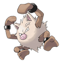 primeape