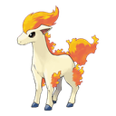 ponyta