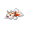 A goldeen image.