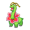 A meganium image.