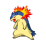 A typhlosion image.