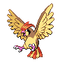 A pidgeotto image.