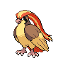 A pidgeot image.