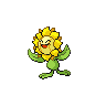 A sunflora image.