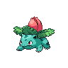 A ivysaur image.