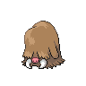 A piloswine image.