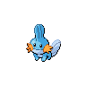 A mudkip image.