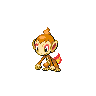 A chimchar image.