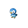 A piplup image.