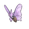 A venomoth image.