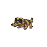 A sandile image.