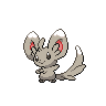 A minccino image.