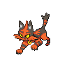 torracat