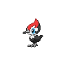 A pikipek image.