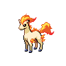 A ponyta image.