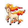 A rapidash image.