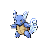 A wartortle image.