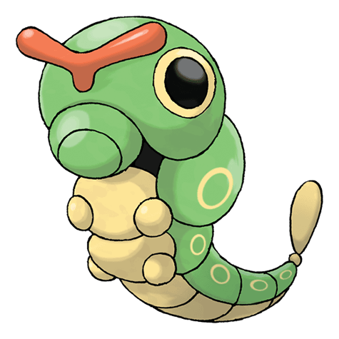 caterpie A caterpie image.