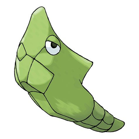 metapod A metapod image.