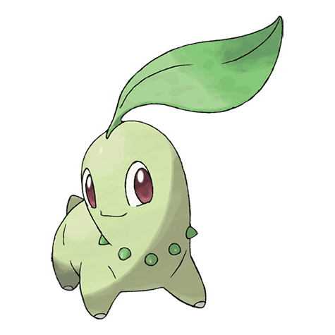 chikorita A chikorita image.