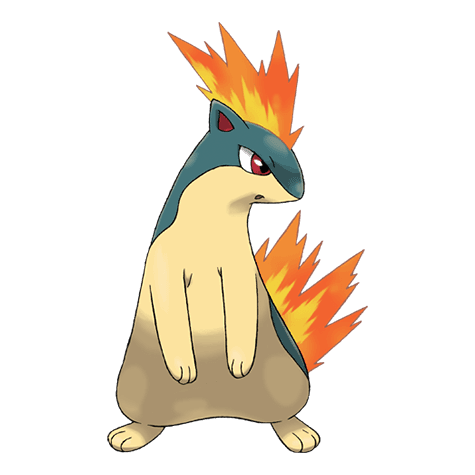 quilava A quilava image.