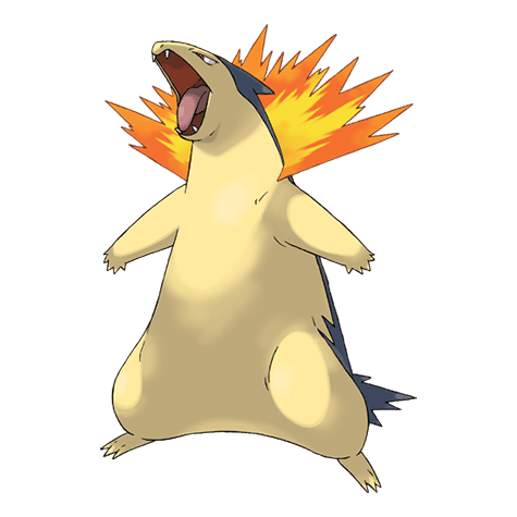 typhlosion A typhlosion image.