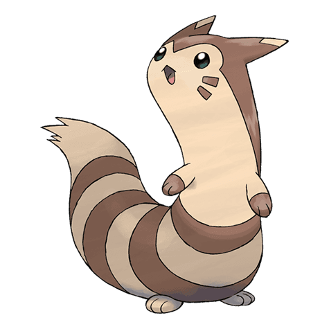 furret A furret image.