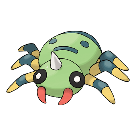 spinarak A spinarak image.