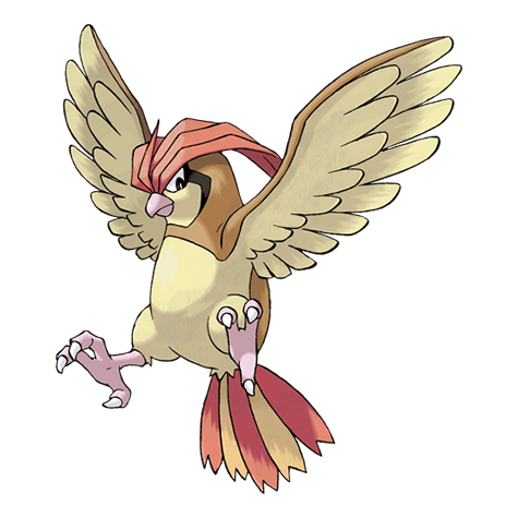 pidgeotto A pidgeotto image.