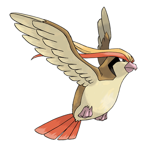 pidgeot A pidgeot image.