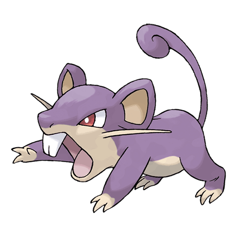 rattata A rattata image.