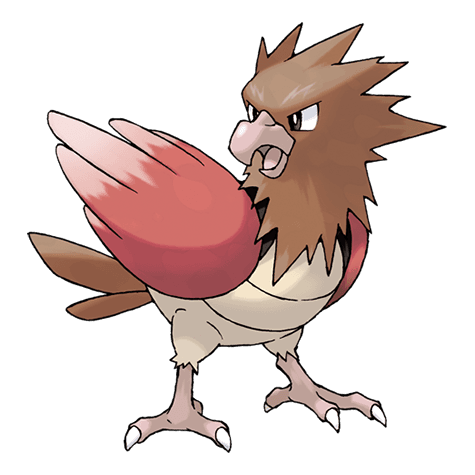spearow A spearow image.