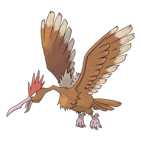 fearow A fearow image.