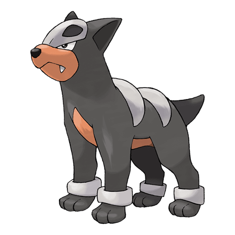 houndour A houndour image.