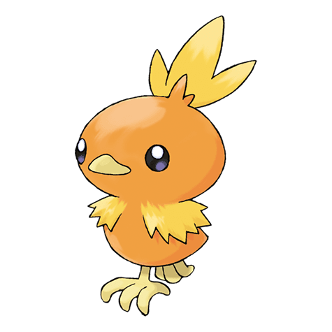 torchic A torchic image.