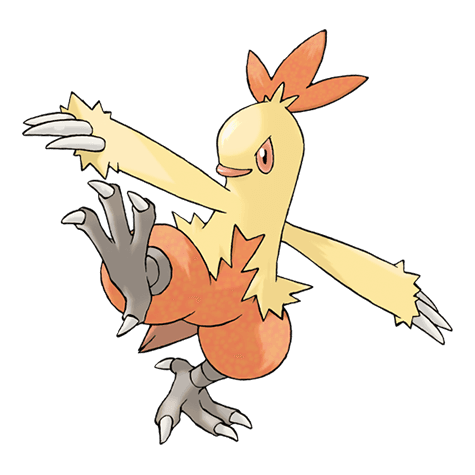 combusken A combusken image.