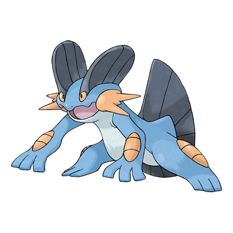 swampert A swampert image.