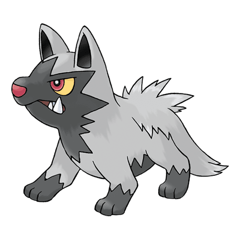 poochyena A poochyena image.