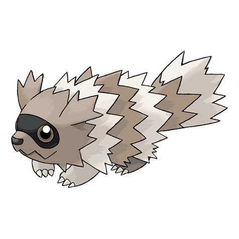 zigzagoon A zigzagoon image.
