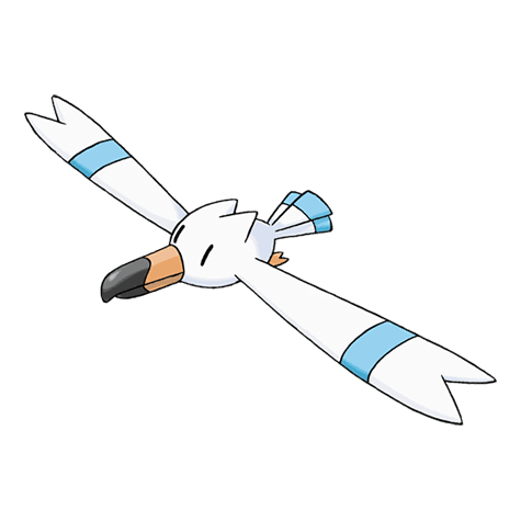 wingull A wingull image.