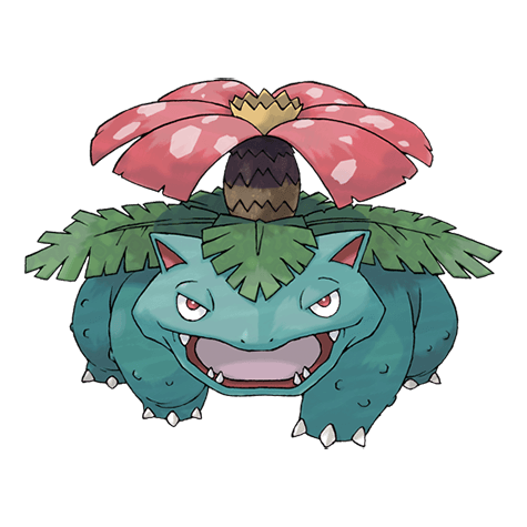 venusaur A venusaur image.