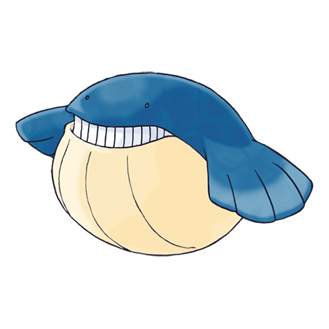 wailmer A wailmer image.