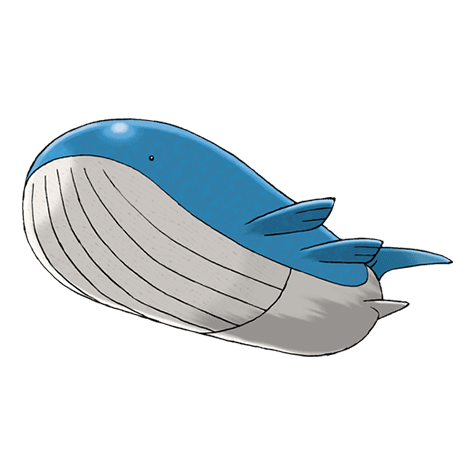 wailord A wailord image.